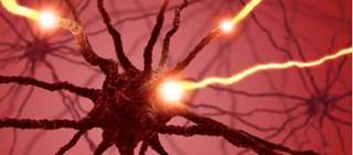 Researchers say a pivotal study will be undertaken for US commercial approval Researchers say a pivotal study will be undertaken for US commercial approval