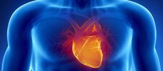 Researchers set up a registry to evaluate long-term testosterone therapy in men and CV outcomes Researchers set up a registry to evaluate long-term testosterone therapy in men and CV outcomes