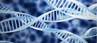 CPIC recently released guidelines for CYP2D6/CYP2C19 genotypes and dosing of SSRIs CPIC recently released guidelines for CYP2D6/CYP2C19 genotypes and dosing of SSRIs
