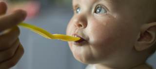 Study finds many parents need more information on how to safely introduce solid foods Study finds many parents need more information on how to safely introduce solid foods
