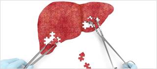 Is There a Role for Fenofibrate in Chronic Cholestatic Liver Diseases? Is There a Role for Fenofibrate in Chronic Cholestatic Liver Diseases?