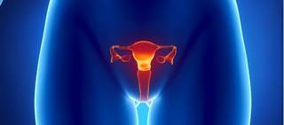 Hysterectomy can be avoided in about two-thirds of uterine artery embolization-treated patients Hysterectomy can be avoided in about two-thirds of uterine artery embolization-treated patients