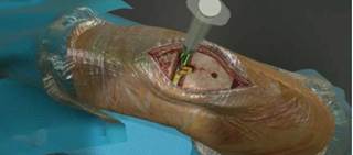 New tool gives clinicians hands-on training New tool gives clinicians hands-on training