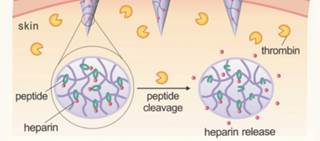 The novel patch consists of microneedles made of a polymer that consists of hyaluronic acid and heparin The novel patch consists of microneedles made of a polymer that consists of hyaluronic acid and heparin