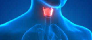 WHO performance status >0, neck metastasis, nonsurgical treatment predict recurrence WHO performance status >0, neck metastasis, nonsurgical treatment predict recurrence