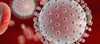 Higher standard of living reduces odds the virus-carrying mosquitoes will thrive Higher standard of living reduces odds the virus-carrying mosquitoes will thrive
