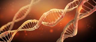 Many physicians don't connect race or ethnicity to genetics and clinical decision-making Many physicians don't connect race or ethnicity to genetics and clinical decision-making