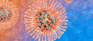 One in three people in the U.S. will develop herpes zoster during their life One in three people in the U.S. will develop herpes zoster during their life