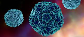Enteroviruses may induce an autoimmune process against insulin-producing cells in the pancreas Enteroviruses may induce an autoimmune process against insulin-producing cells in the pancreas
