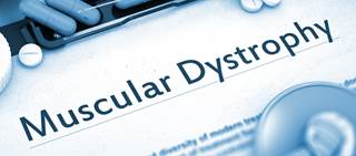 Previous Phase 1b/2 showed positive function results in LGMD2B patients Previous Phase 1b/2 showed positive function results in LGMD2B patients