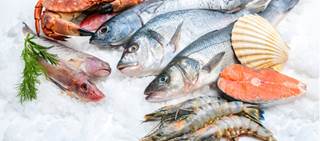 AAN says mercury-laden seafood associated with ALS risk AAN says mercury-laden seafood associated with ALS risk