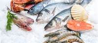 Fishy Advice from the FDA Fishy Advice from the FDA