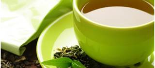 Researchers assessed in vitro, animal, and clinical studies which examined the effects of green tea extract Researchers assessed in vitro, animal, and clinical studies which examined the effects of green tea extract