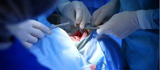 Low rate of local recurrence for patients with squamous cell carcinoma of the lower lip Low rate of local recurrence for patients with squamous cell carcinoma of the lower lip