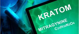 The dominant alkaloid in kratom can exert somewhat selective μ-opioid receptor activity The dominant alkaloid in kratom can exert somewhat selective μ-opioid receptor activity