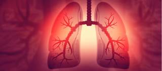 Alone or in combination, reduces rate of FEV1 decline in those with moderate COPD and high risk of CVD Alone or in combination, reduces rate of FEV1 decline in those with moderate COPD and high risk of CVD