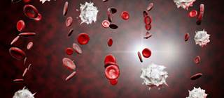 Endari, an amino acid, was previously granted Orphan Drug and Fast Track designations from the FDA Endari, an amino acid, was previously granted Orphan Drug and Fast Track designations from the FDA