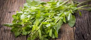 Holy basil is considered a sacred herb in many parts of the world Holy basil is considered a sacred herb in many parts of the world