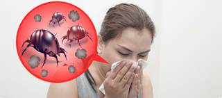 Odactra approved for house dust mite allergic disease Odactra approved for house dust mite allergic disease