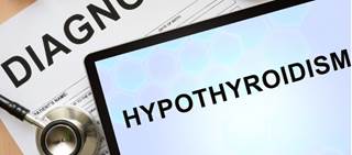 The study included 6 men and 4 women with no known thyroid disease and normal thyroid hormone function The study included 6 men and 4 women with no known thyroid disease and normal thyroid hormone function