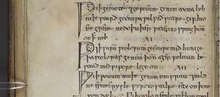 Medieval medicines, like those detailed in 'Bald's Leechbook', are being re-evaluated for antibiotic resistant infections (Image: British Library) Medieval medicines, like those detailed in 'Bald's Leechbook', are being re-evaluated for antibiotic resistant infections (Image: British Library)