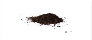 Caffeine reduces both the incidence and severity of acute kidney injury Caffeine reduces both the incidence and severity of acute kidney injury