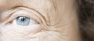 Visual changes may provide important biomarkers for early detection and monitoring of the disease Visual changes may provide important biomarkers for early detection and monitoring of the disease
