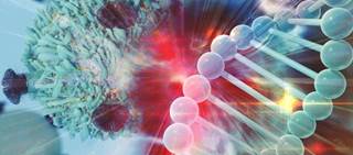 MACE risk assessed for clopidogrel vs alternative therapy for patients with <i>CYP2C19</i> loss-of-function allele MACE risk assessed for clopidogrel vs alternative therapy for patients with <i>CYP2C19</i> loss-of-function allele