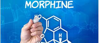 The researchers found that physical manipulation "does not defeat the ER mechanism of morphine MorphaBond ER." The researchers found that physical manipulation "does not defeat the ER mechanism of morphine MorphaBond ER."