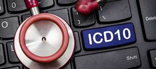 Practices should have a compliance plan and policy Practices should have a compliance plan and policy