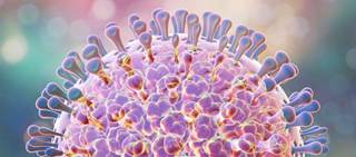 Reduction in acute-gastroenteritis-related hospitalization rates among children <5 years Reduction in acute-gastroenteritis-related hospitalization rates among children <5 years