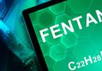 Rapid Fentanyl Test Strips Accepted by Young Adult Drug Users Rapid Fentanyl Test Strips Accepted by Young Adult Drug Users