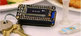 A portable allergen-detection system with a keychain analyzer A portable allergen-detection system with a keychain analyzer