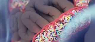 Ribaxamase is designed to be administered with IV beta-lactam antibiotics and remain localized in the intestine Ribaxamase is designed to be administered with IV beta-lactam antibiotics and remain localized in the intestine