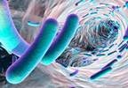 NSAID vs Antibiotic for Symptomatic Urinary Tract Infection NSAID vs Antibiotic for Symptomatic Urinary Tract Infection