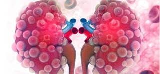 After adjustment for demographics and diabetes status, microbiome diversity linked to estimated GFR After adjustment for demographics and diabetes status, microbiome diversity linked to estimated GFR