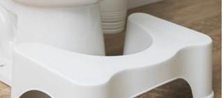 Squatty Potty LLC provided the DMPDs for the study Squatty Potty LLC provided the DMPDs for the study