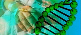 Genetic status linked to risk of major adverse cardiac events in NCCM patients Genetic status linked to risk of major adverse cardiac events in NCCM patients