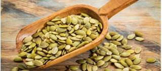 Pumpkin Seeds Sprout Numerous Health Benefits Pumpkin Seeds Sprout Numerous Health Benefits