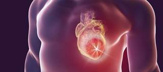 Benefit may come from both anti-inflammatory and BP-lowering properties Benefit may come from both anti-inflammatory and BP-lowering properties
