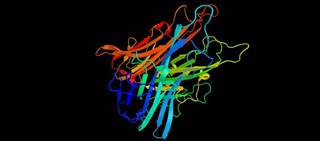 Ixifi is a chimeric human-murine monoclonal antibody (mAb) against tumor necrosis factor Ixifi is a chimeric human-murine monoclonal antibody (mAb) against tumor necrosis factor