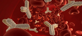 A target-specific human polyclonal antibody was used to treat the patient A target-specific human polyclonal antibody was used to treat the patient