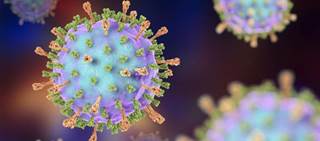 Outbreaks among young adults, teens aligned with peaks in mumps susceptibility due to loss of protection Outbreaks among young adults, teens aligned with peaks in mumps susceptibility due to loss of protection