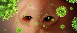 Far-UVC light efficiently inactivated the flu viruses Far-UVC light efficiently inactivated the flu viruses