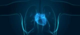 Mothers of infants with congenital heart defects are more likely to have cardiovascular hospitalization Mothers of infants with congenital heart defects are more likely to have cardiovascular hospitalization