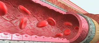 Results showed that severely ill patients in the angiotensin II group had a significantly improved 28-day mortality Results showed that severely ill patients in the angiotensin II group had a significantly improved 28-day mortality