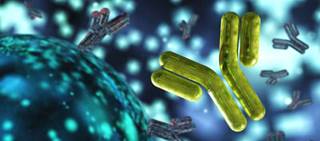 Real-world survey data show that patients receiving Hizentra were highly satisfied with treatment. Real-world survey data show that patients receiving Hizentra were highly satisfied with treatment.