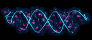IsolateFibromyaglia uses a proprietary technology which utilizes machine-learning algorithms to assess RNA IsolateFibromyaglia uses a proprietary technology which utilizes machine-learning algorithms to assess RNA