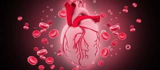 Investigators conducted a meta-analysis to compare the efficacy of SGLT2i, DPP-4i, and GLP-1 agonists for reducing cardiovascular outcomes. Investigators conducted a meta-analysis to compare the efficacy of SGLT2i, DPP-4i, and GLP-1 agonists for reducing cardiovascular outcomes.