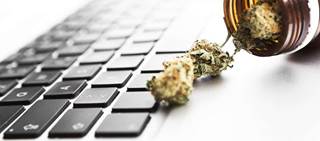 Online marijuana searches grew by 98% as a proportion of all searches from 2005 to 2017 Online marijuana searches grew by 98% as a proportion of all searches from 2005 to 2017